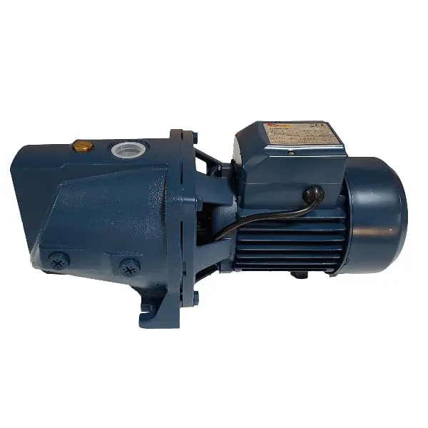 HST40-200-5.5 Standard JSW10M Centrifugal Pressure Pump 220V 0.75KW Self PrimingCentrifugal Pump 380V 5.5KW